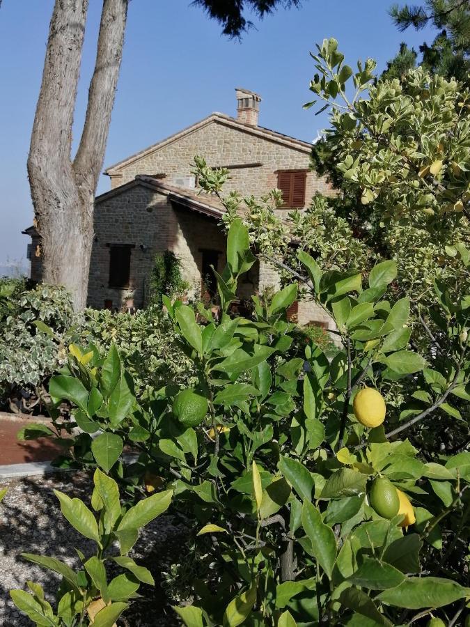 Casale San Martino Agriturismo Bio Sant'Angelo in Pontano Exterior foto