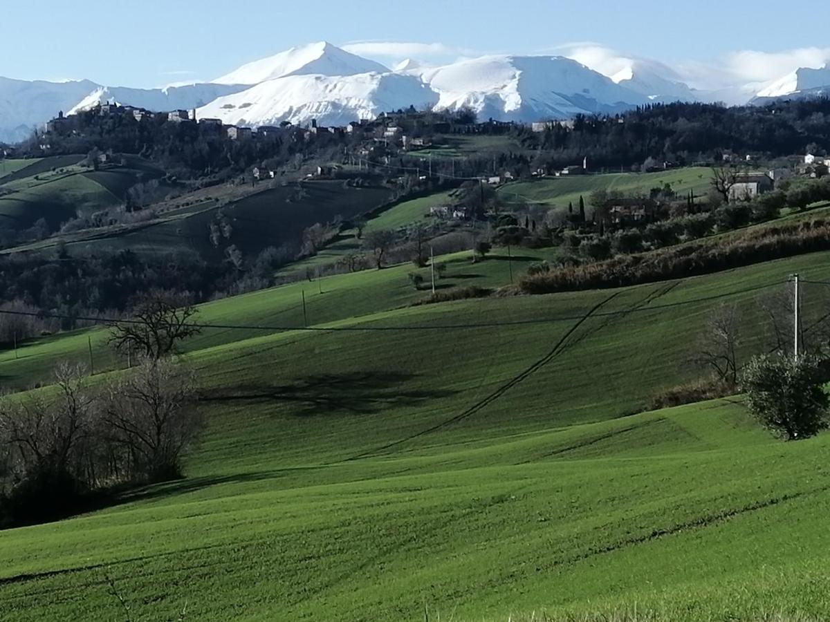 Casale San Martino Agriturismo Bio Sant'Angelo in Pontano Exterior foto