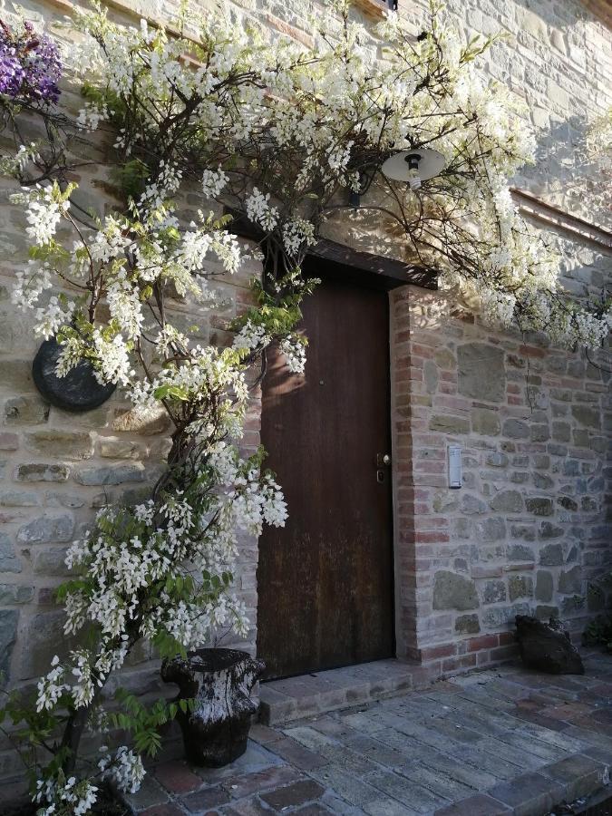 Casale San Martino Agriturismo Bio Sant'Angelo in Pontano Exterior foto