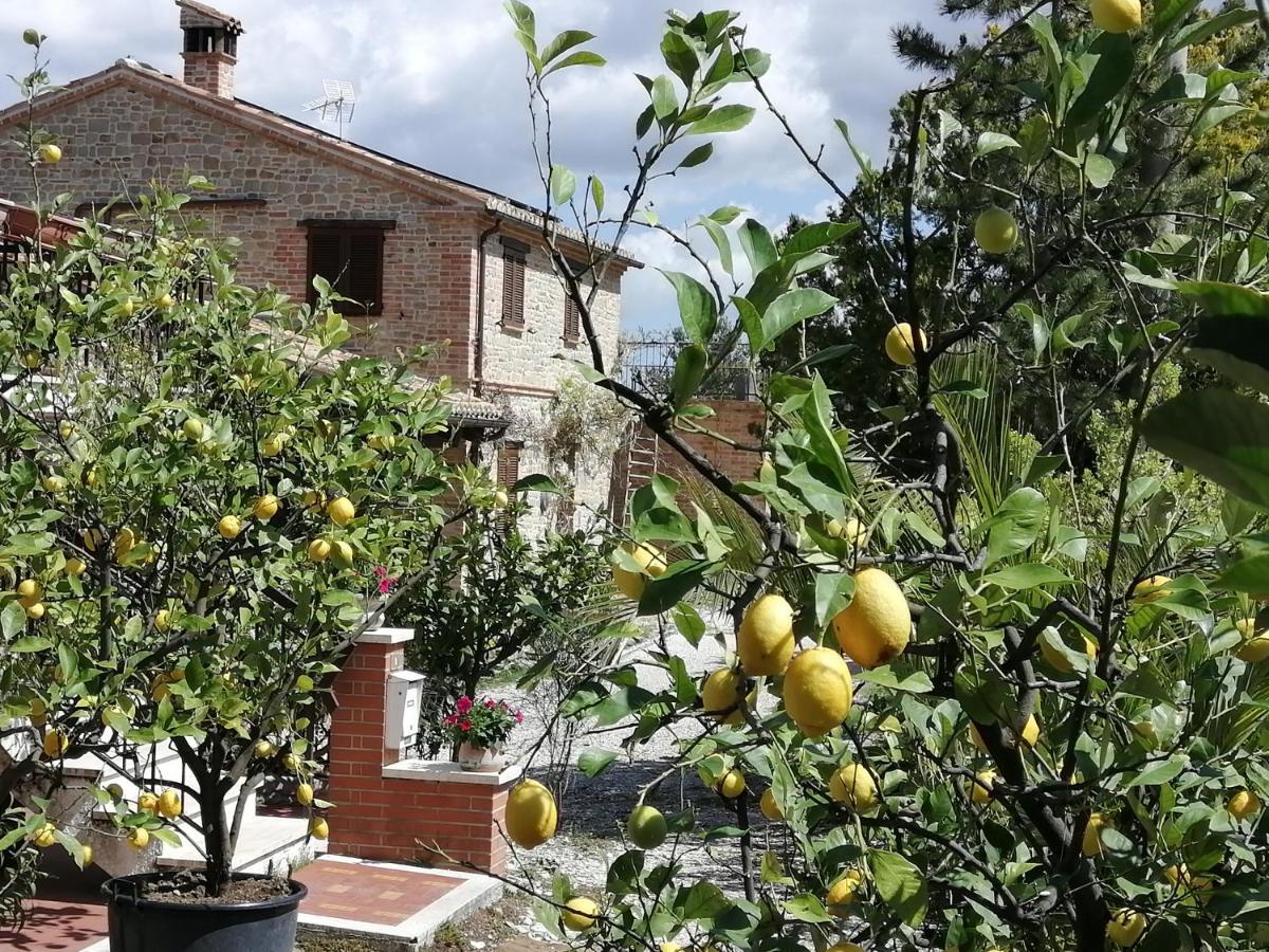 Casale San Martino Agriturismo Bio Sant'Angelo in Pontano Exterior foto