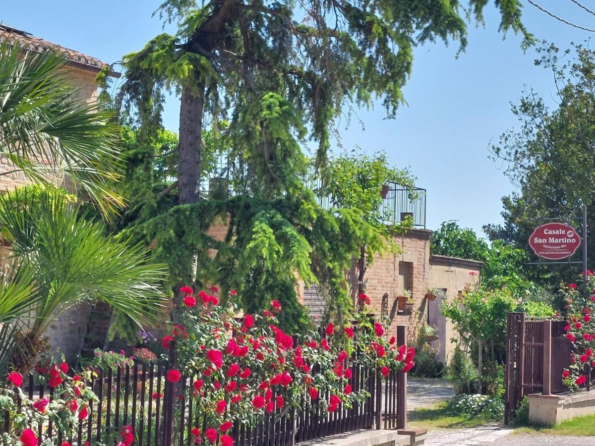 Casale San Martino Agriturismo Bio Sant'Angelo in Pontano Exterior foto
