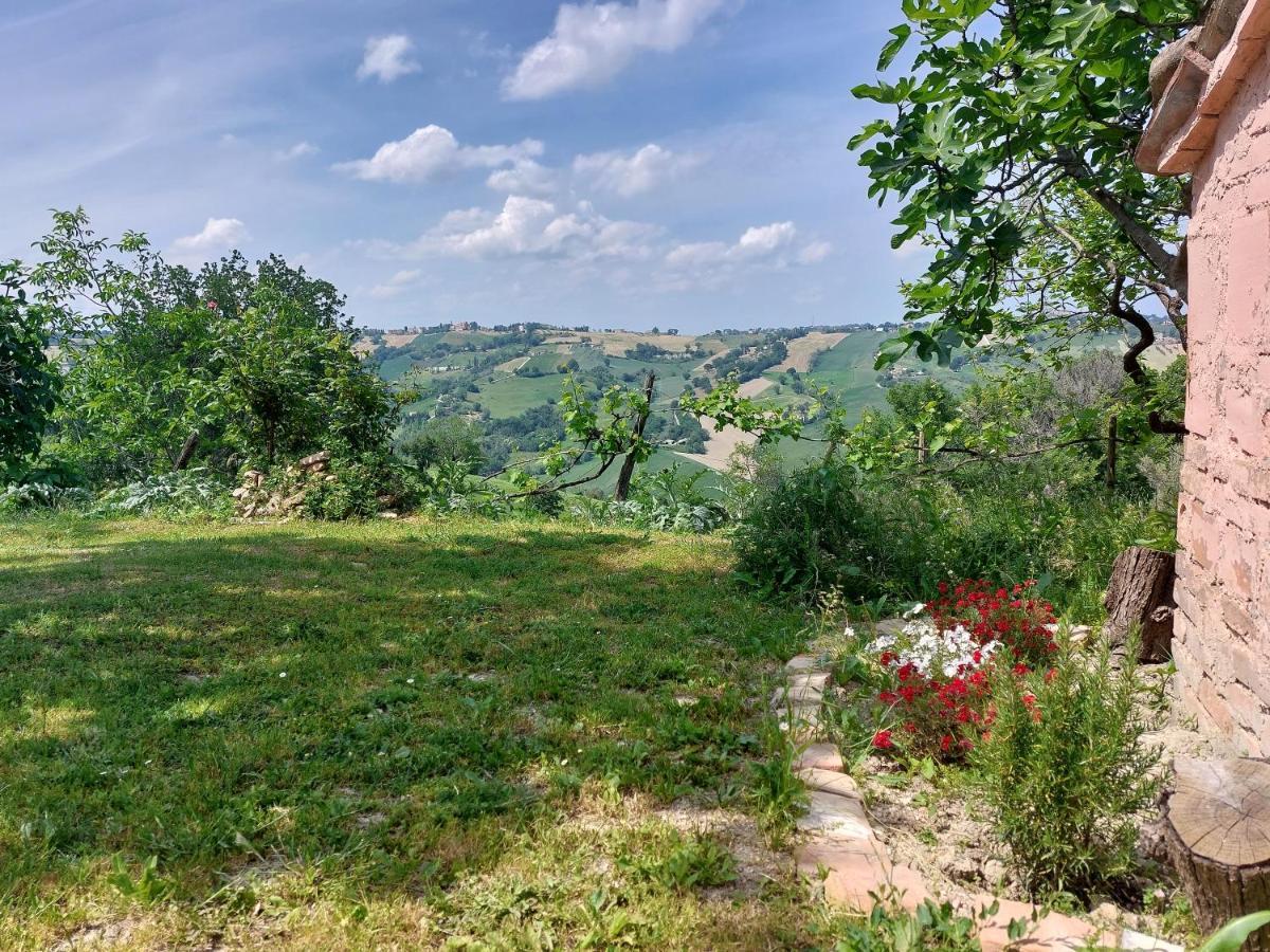 Casale San Martino Agriturismo Bio Sant'Angelo in Pontano Exterior foto