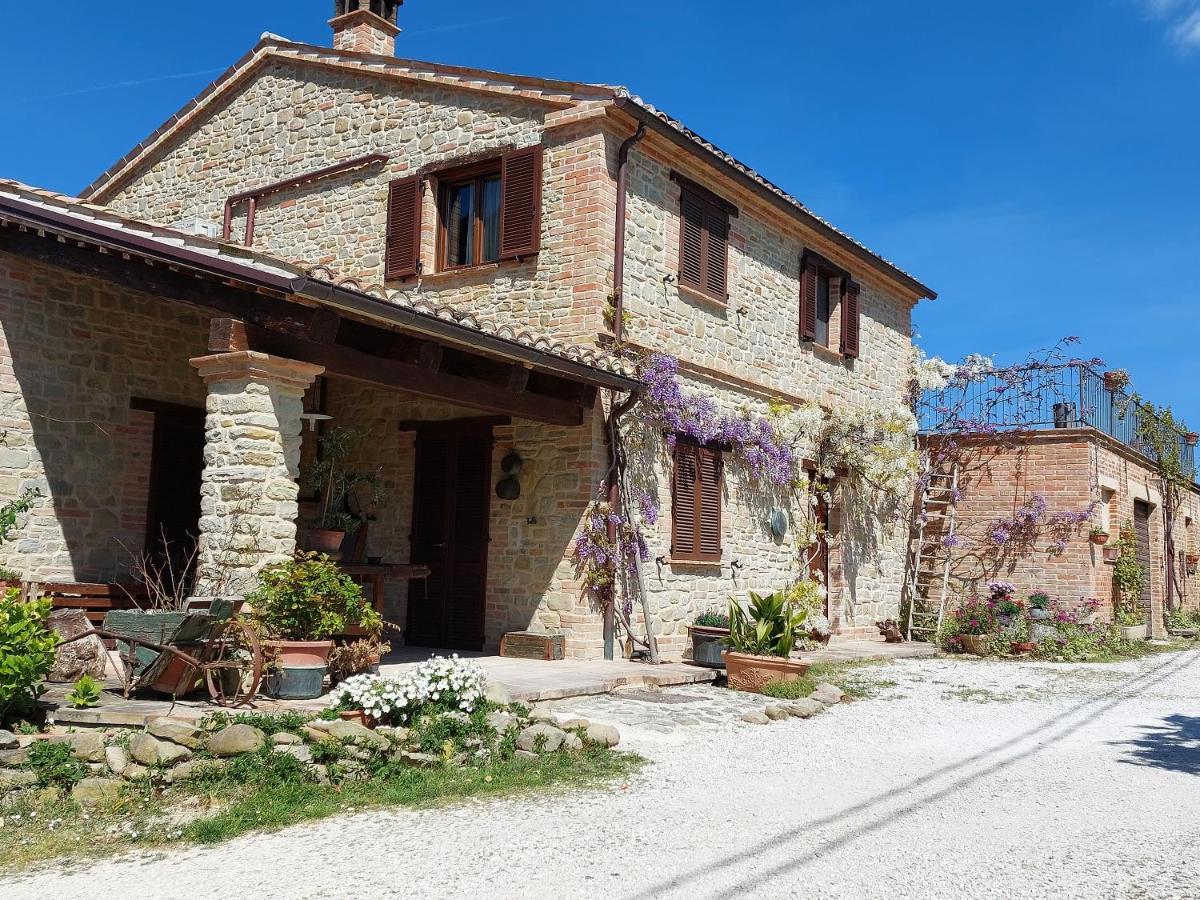 Casale San Martino Agriturismo Bio Sant'Angelo in Pontano Exterior foto