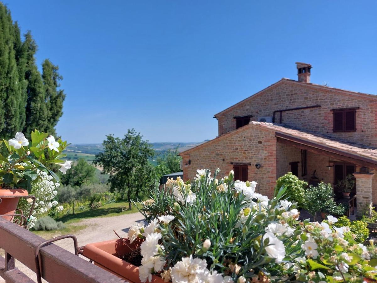Casale San Martino Agriturismo Bio Sant'Angelo in Pontano Exterior foto