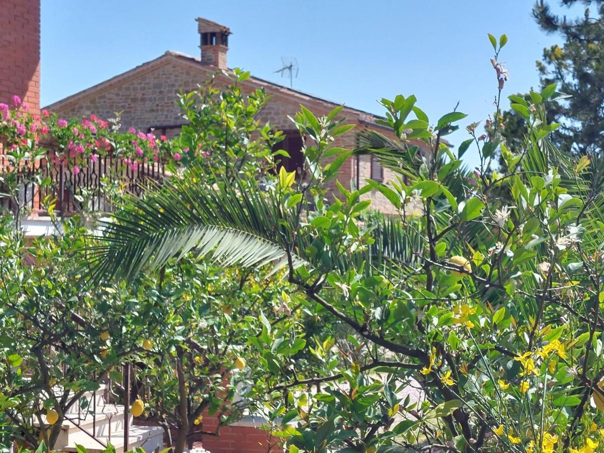 Casale San Martino Agriturismo Bio Sant'Angelo in Pontano Exterior foto