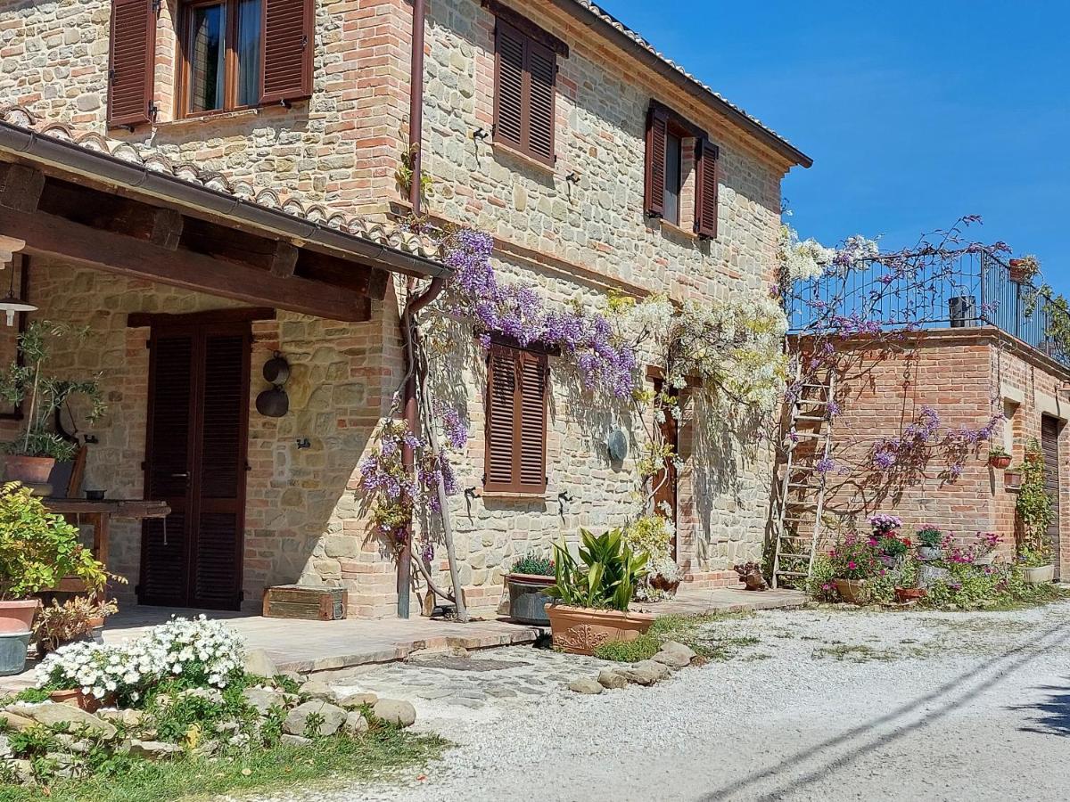 Casale San Martino Agriturismo Bio Sant'Angelo in Pontano Exterior foto